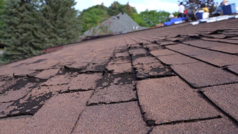 Best Roof Insulation Installation  in Jennings, MO